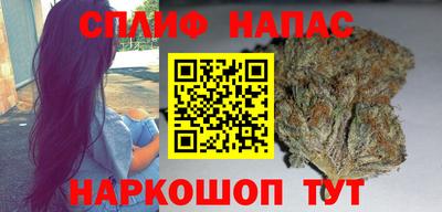 стафф Новозыбков