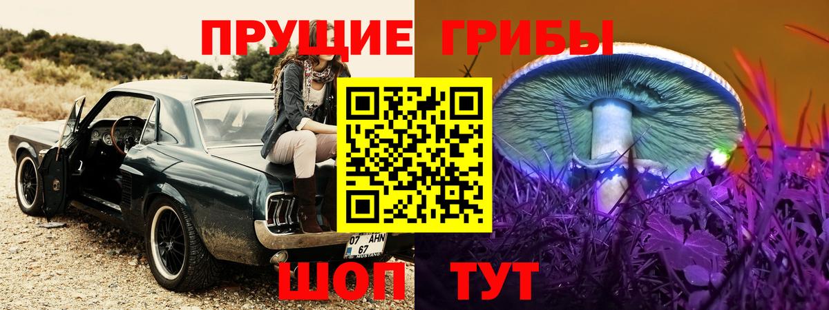 Галлюциногенные грибы прущие грибы  купить наркоту  Галлюциногенные грибы прущие грибы  Саяногорск  Вход с VPN 