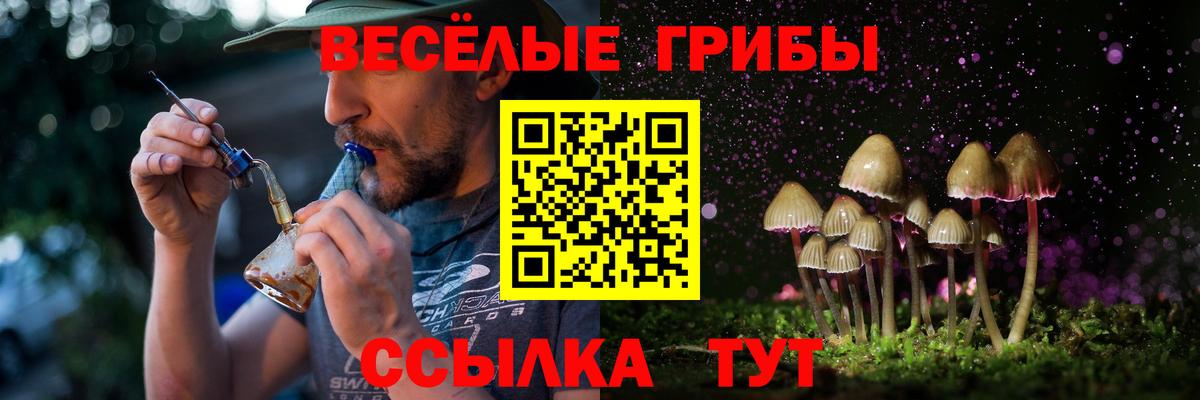 Псилоцибиновые грибы мицелий Саяногорск