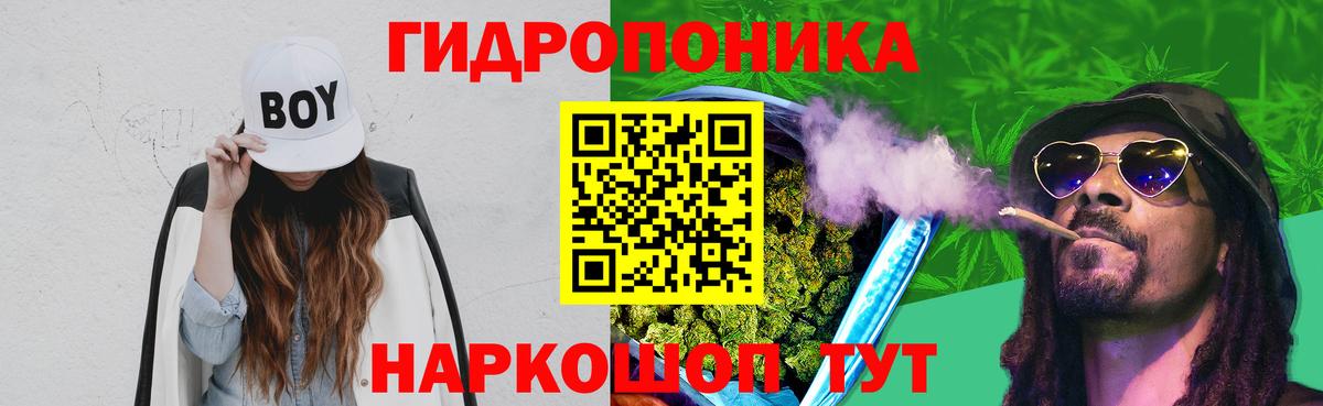 Псилоцибиновые грибы Саяногорск